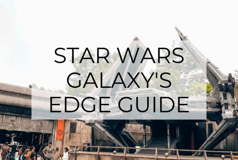 Star Wars: Galaxy&rsquo;s Edge &ndash; Tips & What to Expect