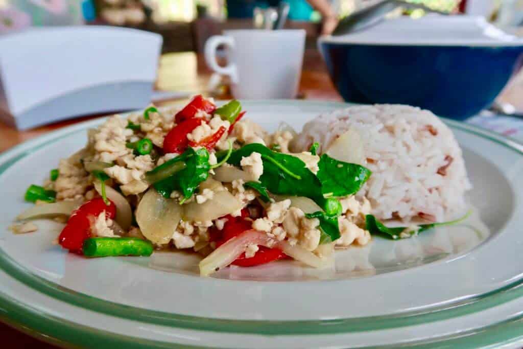 Thai Stir-Fried Chicken and Hot Basil