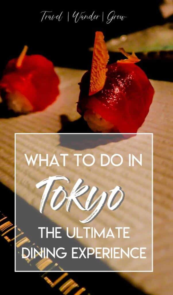 Looking for a unique dining experience in Tokyo? This post will give you all the details on the best restaurant in Tokyo (Ninja Style)! Learn why this is one of the best things to do in Tokyo. #thingstodoinTokyo #Tokyorestaurants