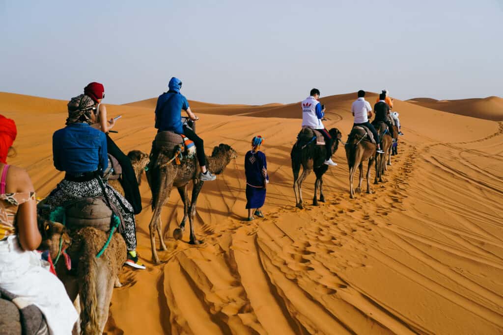Camel caravan to erg chebbi