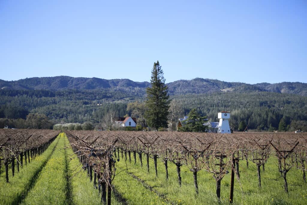 St. Helena, Napa Valley