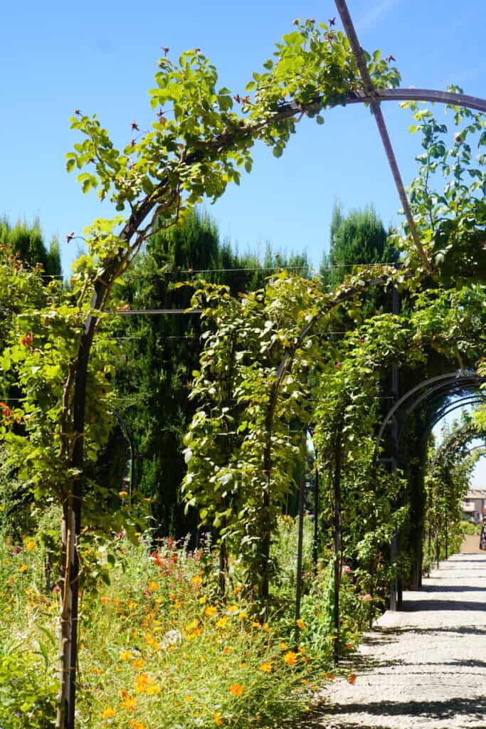 Gardens in the Alhambra