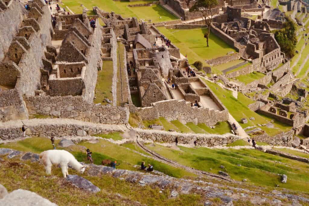 Machu Picchu Citadel