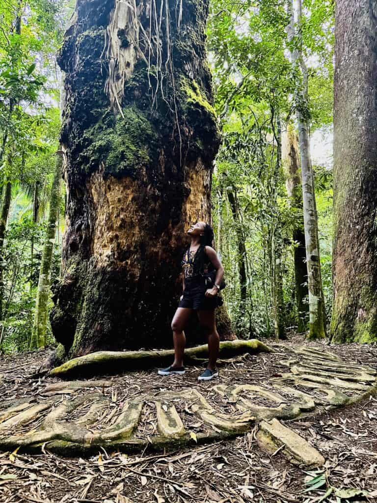 Black woman in Tijuca National Park