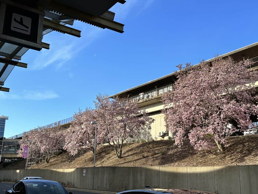 Washington, DC Itinerary 4 Days