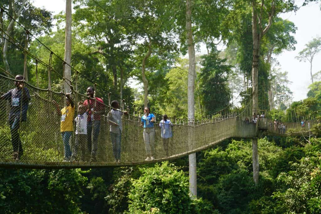 Kakum National Park suspension bridges with people